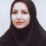 مهندس بیژن زنگنه بیژن زنگنه